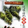 优质高档板栗生产技术——金地地工程·优质高档果生产系列