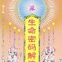 生命密码解读