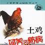土鸡饲养与防病