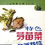 特色芽苗菜高产新栽培
