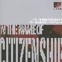 以公民的名义