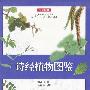 诗经植物图鉴——文学珍藏