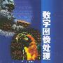 数字图像处理