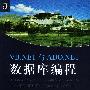 VB.NET与ADO.NET数据库编程