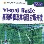 Visual Basic高级编程及其项目应用开发
