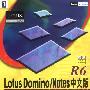 Lotus Domino/Notes R6中文版办公自动化解决方案及应用剖析（附光盘）