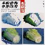 水粉静单体练习:果蔬篇
