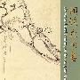 明清花鸟画 (中英文)