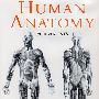 艺术家用人体解剖(附1200附插图) Human Anatomy for Artists