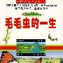 毛毛虫的一生