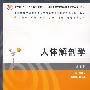 人体解剖学（第二版）