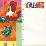 课外阅读.2005(1-6)