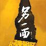 另一面:一个法制记者眼中的中国社情