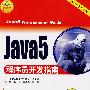 Java5程序员开发指南