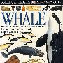 鲸(附200余幅图片)Eyewitness Guide-Whale