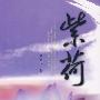 紫荷
