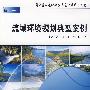 流域环境规划典型案例