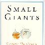 (小公司的大智慧)Small Giants