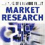 因特网时代的市场研究：影响市场测量与消费者见识的因特网 MARKET RESEARCH IN THE INTERNET AGE