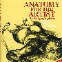 艺术家用解剖学（附120幅图片）Anatomy for the Artist