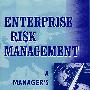 企业风险管理：一个经理人的旅程ENTERPRISE RISK MANAGEMENT: A MANAGER'S JOURNEY