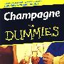 香槟酒CHAMPAGNE FOR DUMMIES