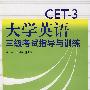 CET-3大学英语三级考试指导与训练