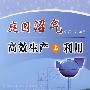 庭园沼气高效生产与利用
