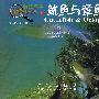 鱿鱼与章鱼——新法布尔自然观察法20(第二辑 水王国)