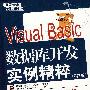 Visual Basic数据库开发实例精粹（第2版）（附光盘）