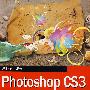 Photoshop CS3（中文版）从入门到精通（普及版）（含盘）