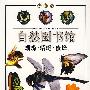 自然图书馆：鸟与昆虫篇——蝴蝶·蜻蜓·蜜蜂（彩图版）（全五册）
