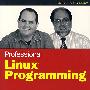 Linux 专业人员编程 Professional Linux Programming