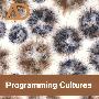编程文化：软件开发时代的架构、技艺与科学 Programming Cultures