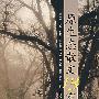 原生态·散文13家