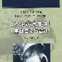 水斗式水轮机基础理论与设计