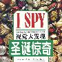 视觉大发现:圣诞惊奇