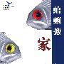 蛤蜊搬家