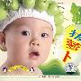 拔萝卜(CD)