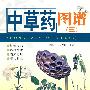 中草药图谱(三)