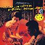 花样年华(典藏版)(4VCD)