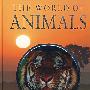 动物世界 World of Animals