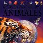 Animals of the World  世界上的动物