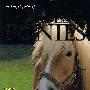horse & ponies 马
