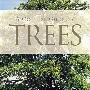 TREES 树