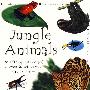 雨林中的动物 JUNGLE ANIMALS