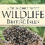 英国野生动物 Wildlife of the British Isles