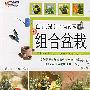 自己设计小花园：组合盆栽