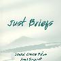 关于摘要Just Briefs