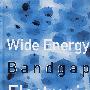 宽能带隙电子器件WIDE ENERGY BANDGAP ELECTRONIC DEVICES
